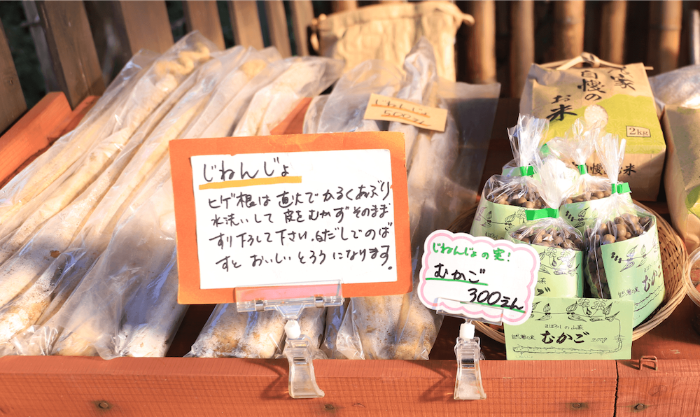直売所で販売している野菜の写真