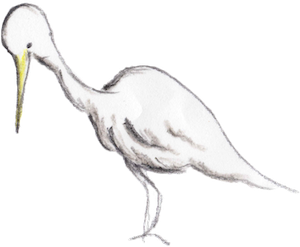 鷺2