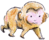 サル2