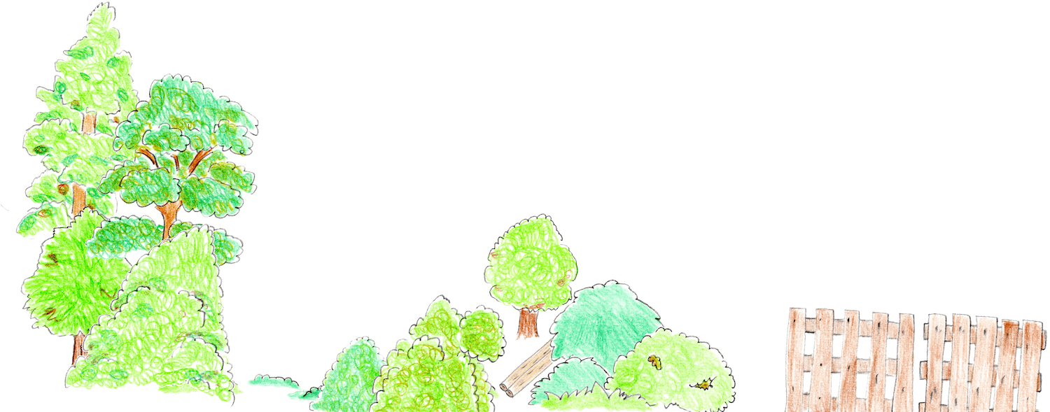 背景イラスト3