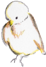 木に止まっている鳥のイラスト2