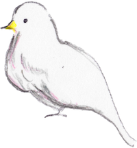 木に止まっている鳥のイラスト3