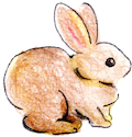 ウサギ2