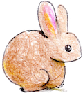 ウサギ3